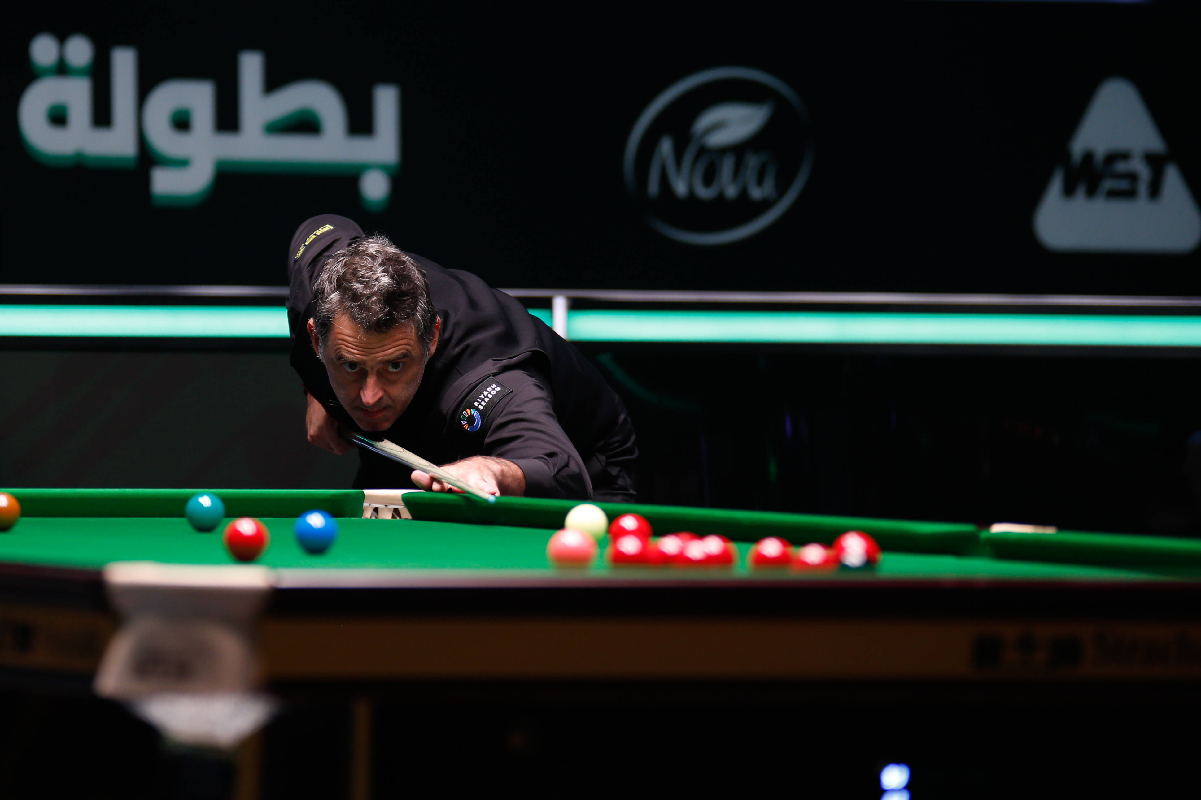 当打之年的 当打之年的